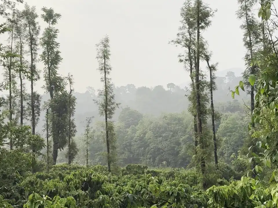 Western Ghats view from FernHills