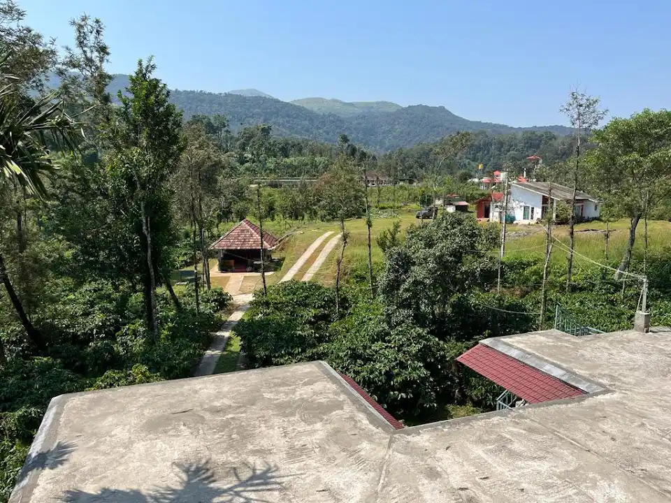 FernHills landscape
